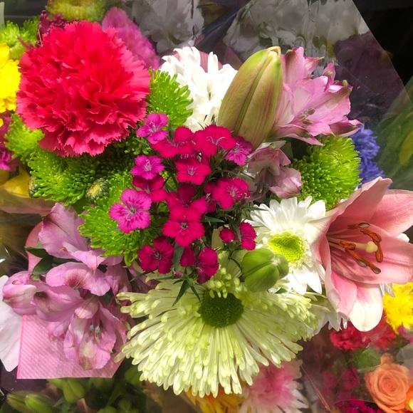 Meet your Posher, Britt - Picture 1 of 1